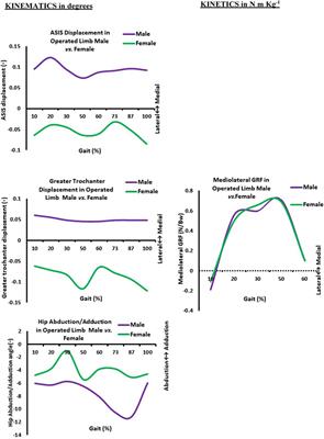 Bilateral hip stability variation in the functional ambulation and kinetic parameters after total hip arthroplasty during leveled walking